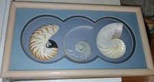Vintage beautiful framed for sale  Crystal Lake