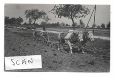 Carte photo semaille d'occasion  Hagondange