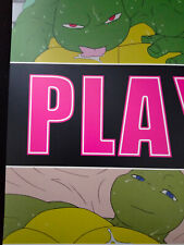 Teenage Mutant Ninja Turtles doujinshi Donatello X Raphael (B5 24 páginas) TMNT PLAY comprar usado  Enviando para Brazil