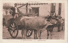 Cpa pays basque d'occasion  Expédié en Belgium