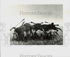 1987 press photo for sale  Memphis