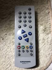 Grundig tele pilot usato  Castelnuovo di Garfagnana