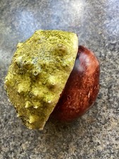 Small ceramic resin for sale  LONDON