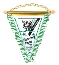 Ehc neuwied bären gebraucht kaufen  Kassel