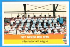 Toledo mud hens for sale  Waterford