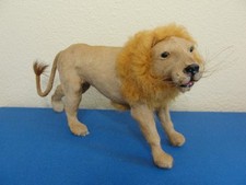 Life like taxidermy for sale  Fallbrook