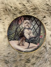 Patricia bourque yorkie for sale  CHESTERFIELD