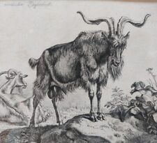Kupferstich johann adam gebraucht kaufen  Regenstauf