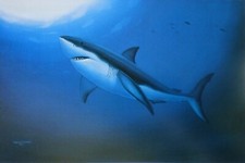Wyland studios great for sale  San Diego