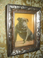 French bulldog sits for sale  Fresno