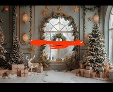 Photo studio christmas for sale  TILBURY