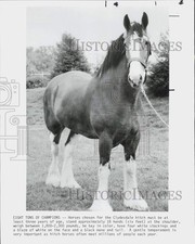1986 press photo for sale  Memphis