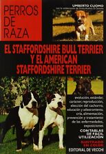 Cani razza staffordshire usato  Italia