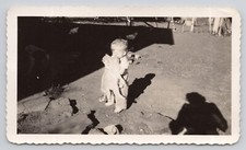 Vintage photo toddler for sale  Brush Creek