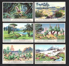 Climate vegetation liebig for sale  BRIDPORT