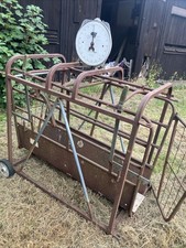 sheep weighing scales for sale  USK