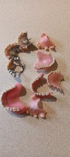 Vintage denture teeth for sale  LEEDS
