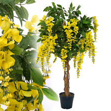 Künstlicher goldregen wisteri gebraucht kaufen  Strausberg