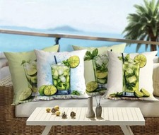 Outdoor lemon lime for sale  OLDHAM