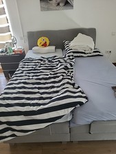 Bett boxspringbett 00m gebraucht kaufen  Olsberg