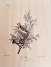 Vintage color print for sale  Rochester