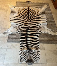 Large complete zebra for sale  Tucson