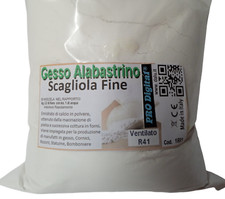 Gesso alabastrino fine usato  Aci Catena