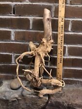 Sale driftwood terrarium for sale  Brandon