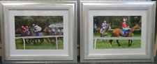 Pair framed horse for sale  MIRFIELD