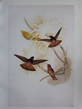 Vintage bird print for sale  YORK