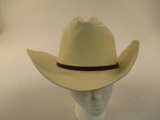 Larry mahan beaver for sale  Whittier