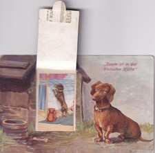 Cartão postal mecânico antigo Dachshund cão na frente de sua casa comprar usado  Enviando para Brazil
