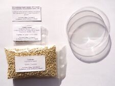 Lot germination oseille d'occasion  France