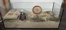 Nagarium glasterrarium 100x40x gebraucht kaufen  Neubrandenburg