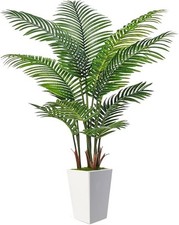 planter houseplants for sale planter houseplants for sale SALFORD