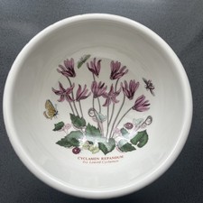 portmeirion cyclamen for sale portmeirion cyclamen for sale LEIGH-ON-SEA