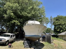 Silverton sport fish for sale  Sicklerville
