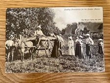 Loading strawberries vintage for sale  LONDON