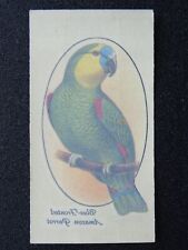 Blue fronted amazon for sale  UK