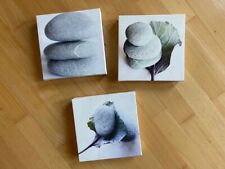 Foto bilder weiß gebraucht kaufen  Innenstadt