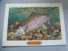 Ancienne lithographie poisson d'occasion  Moncoutant