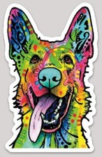 shepherd german pitbull for sale shepherd german pitbull for sale Kansas City