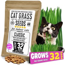 Cat grass seeds for sale  Buffalo