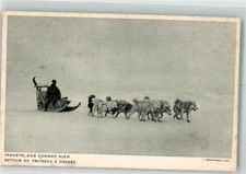 39742304 polarhunde hundeschli gebraucht kaufen  Eimeldingen