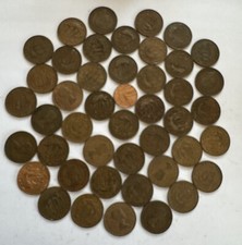 Job lot aged for sale  NEWPORT