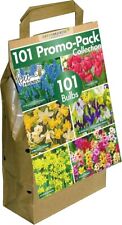 101 dutch bulbs for sale  ILFORD