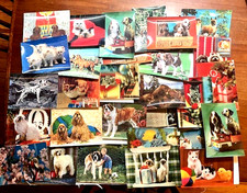 Lenticular animal postcards for sale  Leverett