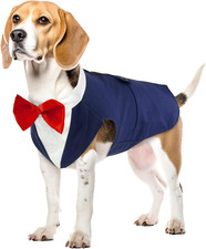 Vestito matrimonio cani usato  Roma