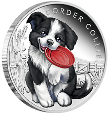 border collie puppies for sale border collie puppies for sale Sugar Land