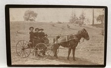 Large cabinet card for sale  Phoenix